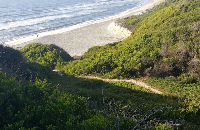 Casa litoral sea view