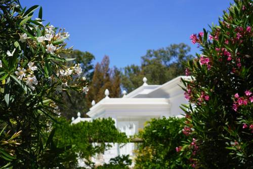 Casa Rã - Architect Edition