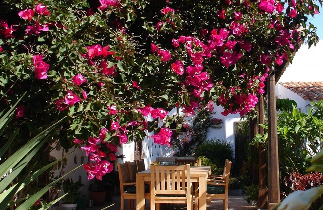 Casa Rural Palomar - Men Only