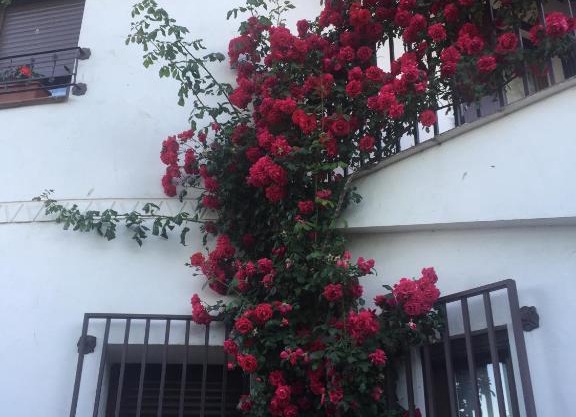 Casa Rural - Al Alba