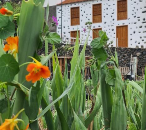 CASA RURAL ANTIGUA ESCUELA I