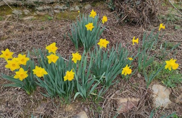 Casa Rural de Santibáñez del Toral