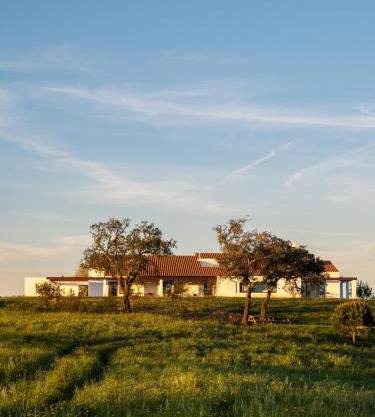 Casa Vale da Rosa- August checkins and checkouts on Sundays