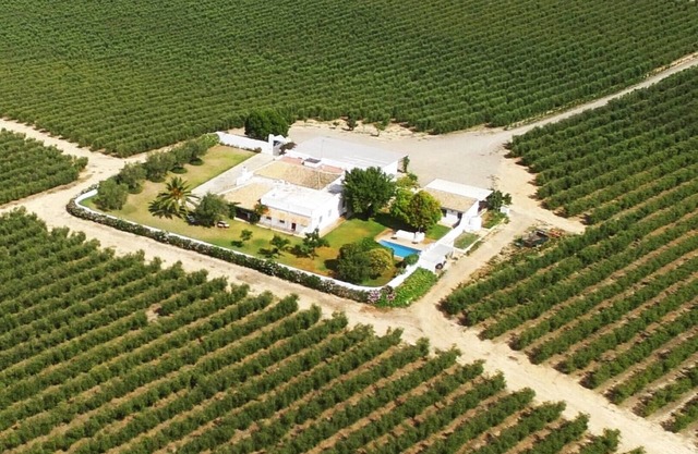 Casablanca: Rest among olive trees