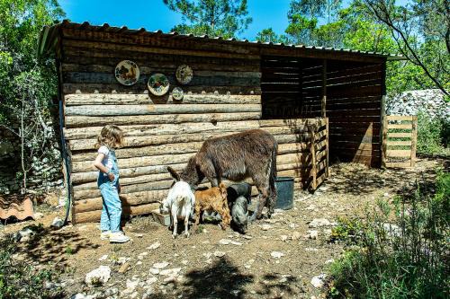 Casal das Fontainhas