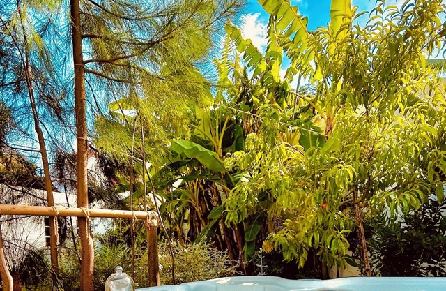 Casas das Piçarras - Alentejo