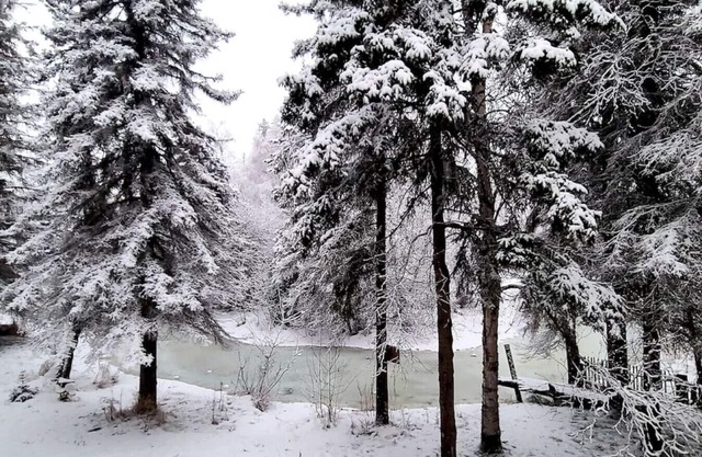 Central ANC Creekside Retreat: Direct Trail Access