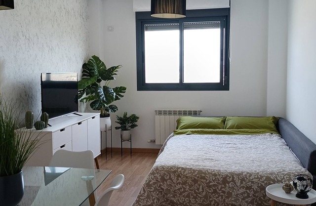 central and comfortable apartment