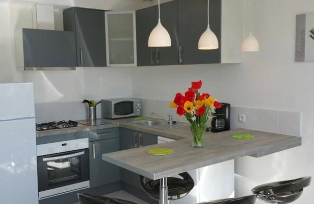 Central Apartment in La Roche-Posay with Pool and Terrace