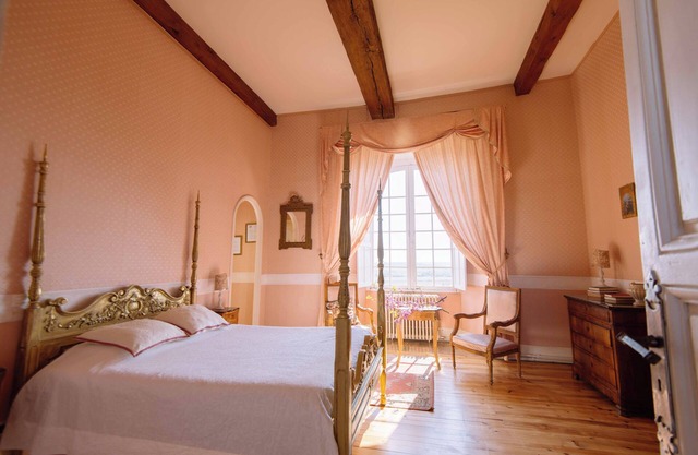 Château de Goudourville 13th century, private, sleeps 30, swimming pool, reception area
