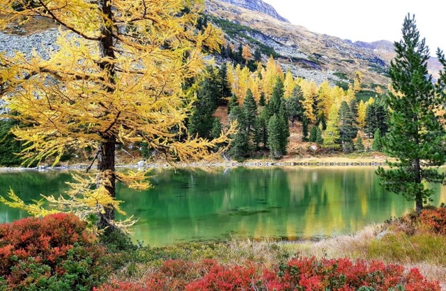 Chalet 'Alpenchalets Weissenbacher-Fuchsbau' with Mountain View, Private Terrace and Wi-Fi