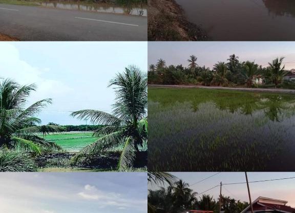 Chalet D'sawah private pool