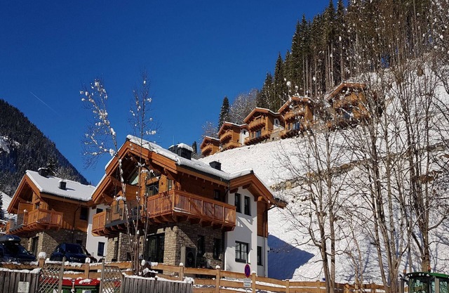 Chalet in Mühlbach near Ski Amade