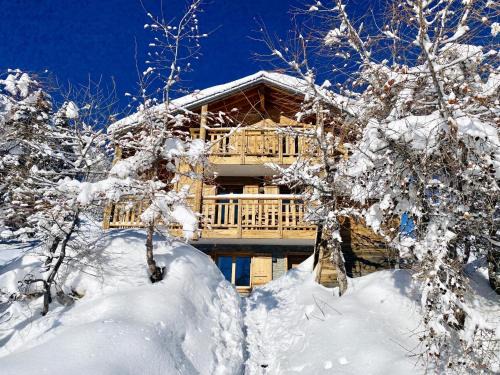 Chalet in 4 Vallées with Ski-In Access