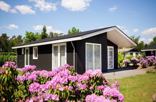 Chalet in Netherlands by Scenic Pond