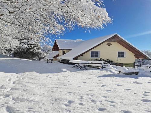 Chalet in Sankt Andrä near Koralpe Ski Area