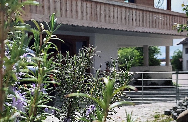 Chalet time-out with friends and family in Upper Bavaria on the BioSchafhof farm