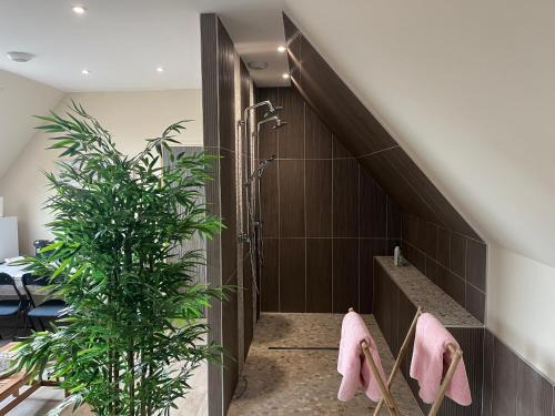 chambre Mont Fleuri