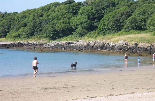 Chapelton Coachman's Cottage - a cottage that sleeps 4 guests in 2 bedrooms