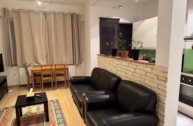 Charming 1 bedroom apartment in Bruxelles.nGrand Place and Gallery Royal area.