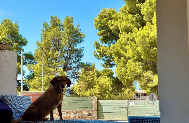 Charming 1-bedroom house with AC, WiFi in pleasant Atsitsa