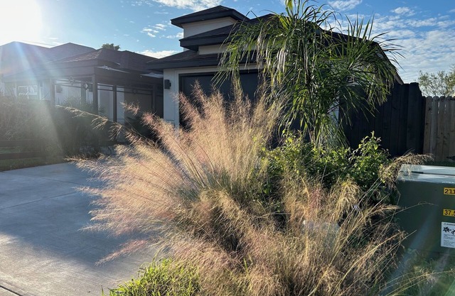 Charming 1-bedroom private suite with WiFi, AC in serene Brownsville Sleeps 1