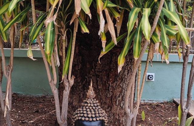 Charming 2-Bedroom Villa with Huge Garden