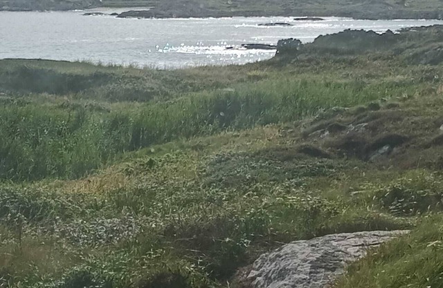 Charming 2bedroom apartment in fabulous Lettermullan with fitness room and Sauna