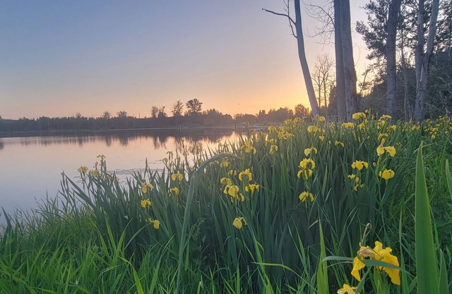 Charming 4 Bdrm Lake House + Huge Games Room