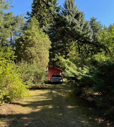 Charming Forest Home near Warsaw