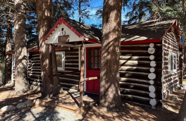 Charming "Vintage" Style Mountain Cabin Under the Pines