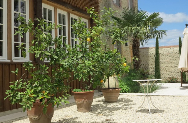 Chateau outbuilding, charm and refinement in the Adour valley