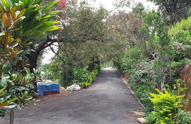 Check Inn Today Resort