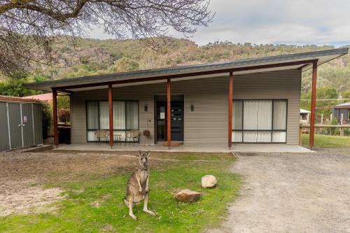 Cheeky Emu Spacious Family Accommodation Halls Gap