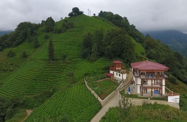 Cheerful 7-bedroom villa with hot tub