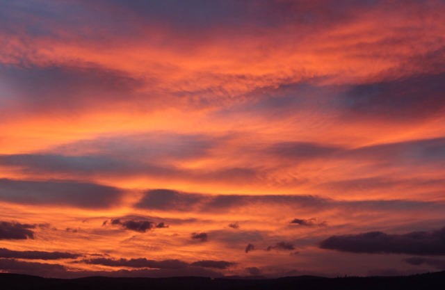 Cherryview Studio Retreat