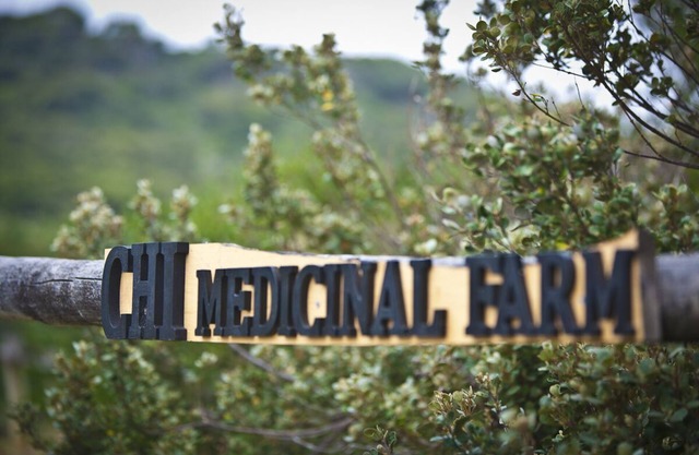 Chi Farm B&B - The Heart of the Great Ocean Walk