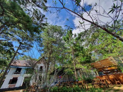 Chino Homestay Măng Đen - Villa tại Măng Đen