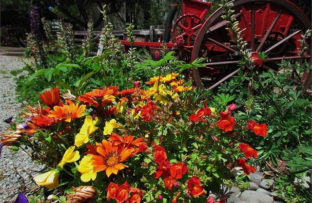 Christchurch City & Country Cottages - Nut Point Cottage