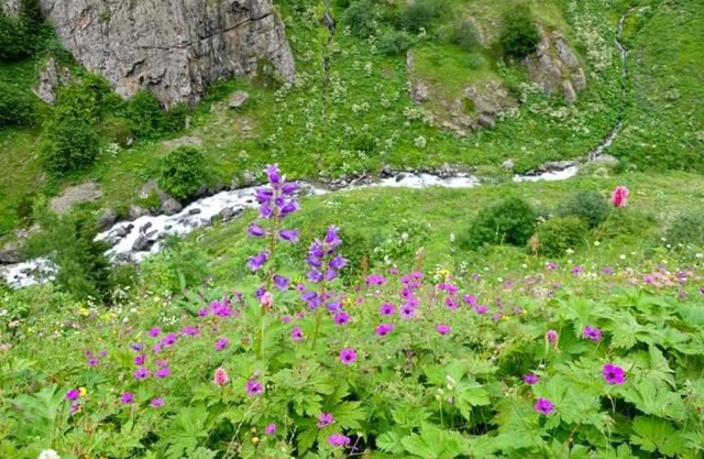 cicekli pansiyon camping