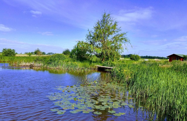 Close to Sylt - peace, nature, vacation at the biotope - free bicycles