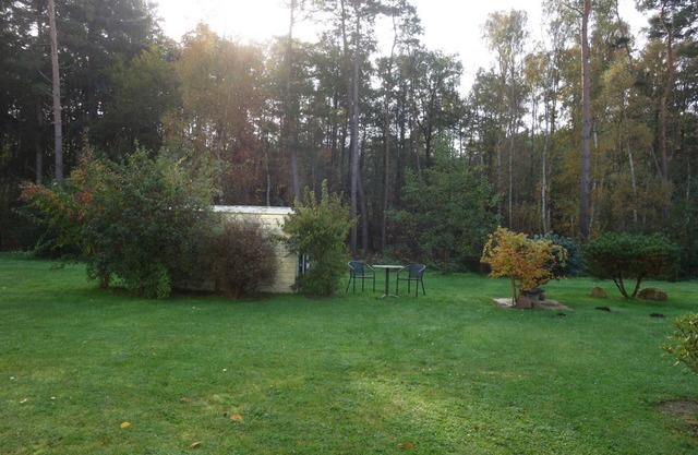 Coastal Forest - Apartment small Eikkater 8