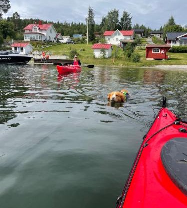 Coastal gem with beach, wooden sauna & canoes