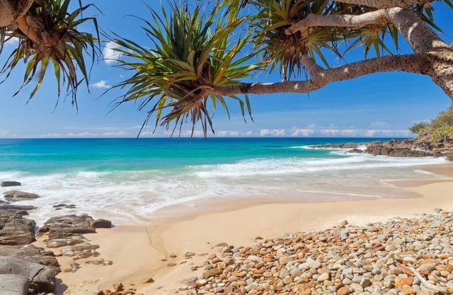 Coastal oasis - family & pet friendly.