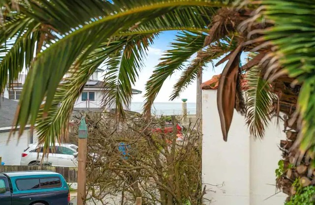 Coastal Palm Tree 2BR Retreat Ocean View