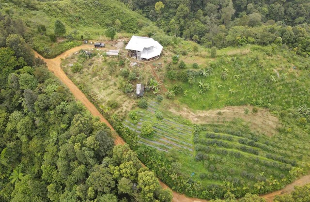 Coffee Farmstay and Roastery in Sumatra, offgrid, authentic, natural