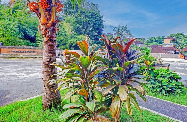 Collection O Bali near Terminal Ubung formerly Batukaru Garden Hotel