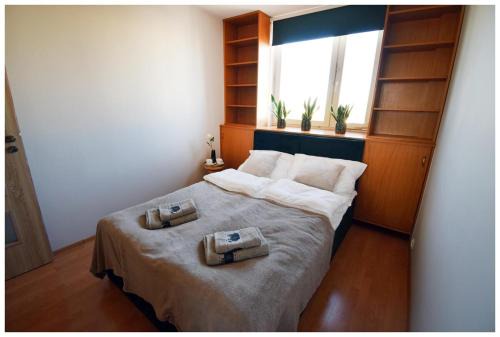 Color Apartment Panorama