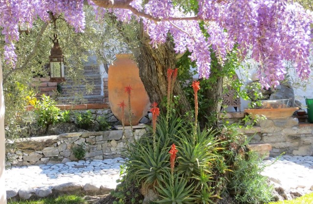 Colores en el Viento