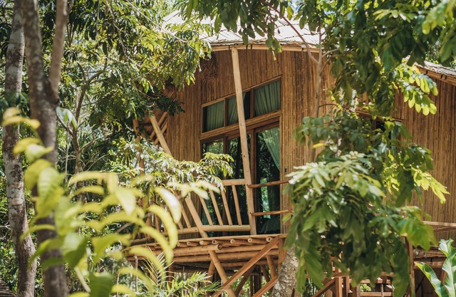 Come and live an experience inside the Mayan Jungle and its 7 Colors Lagoon.